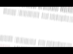 Produktionslinie für Düngemittel, Düngemittel-Granulationsmaschine